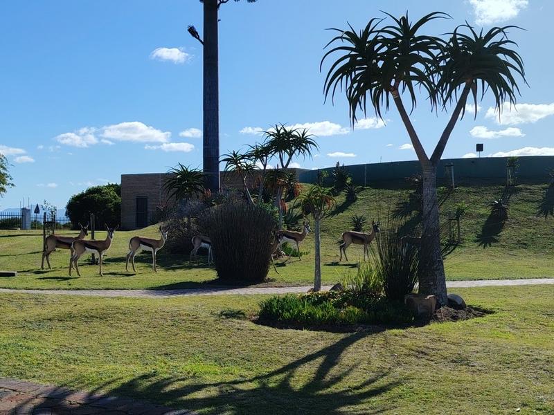 5 Bedroom Property for Sale in Mossel Bay Golf Estate Western Cape